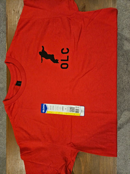 Custom 2025 OLC T-Shirt